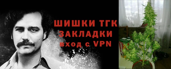 2c-b Богородицк