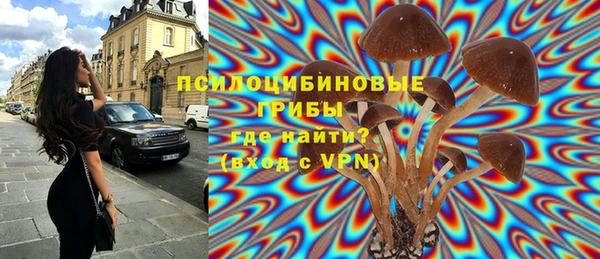 скорость Богородск