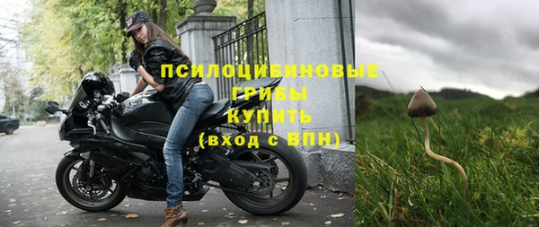 2c-b Богородицк
