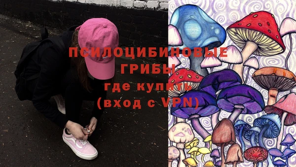 скорость Богородск
