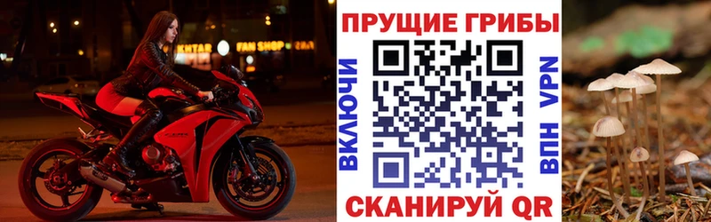 omg ссылки  Бронницы  Псилоцибиновые грибы Magic Shrooms 